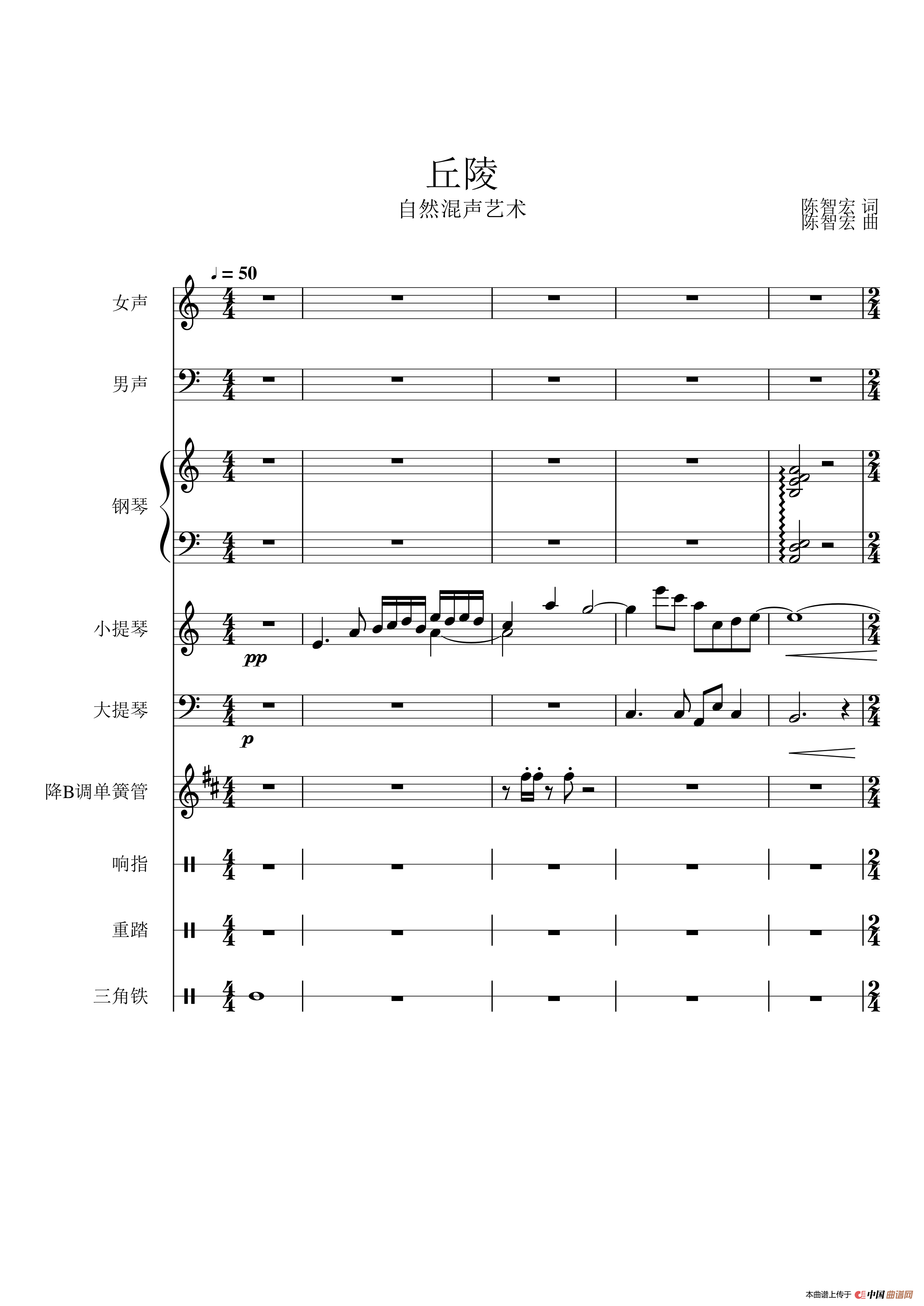 小器乐合奏曲曲谱_鸿雁器乐合奏总谱合奏(2)