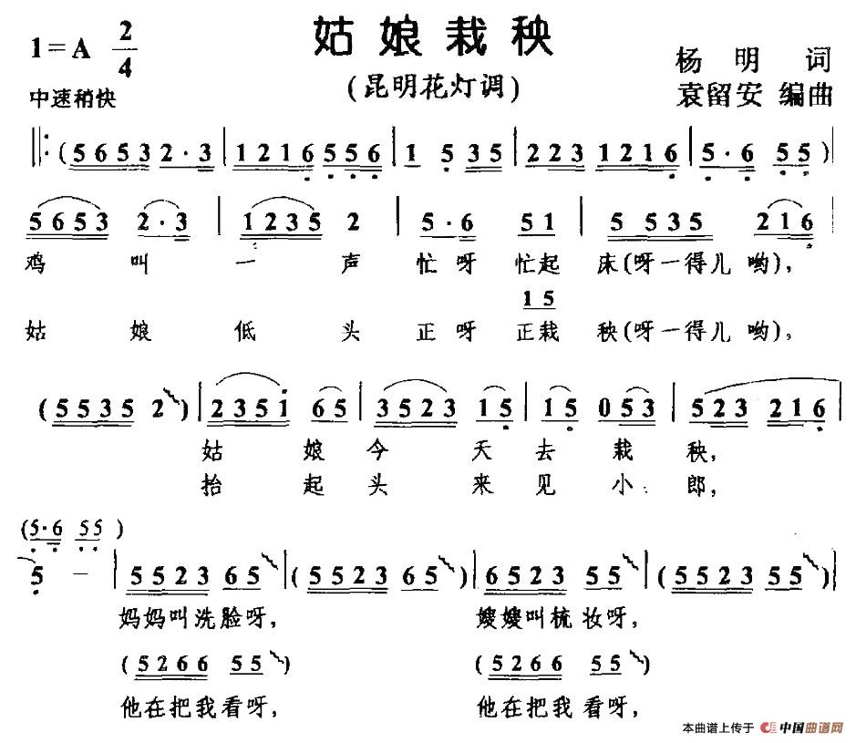 紫荆调曲谱_紫荆