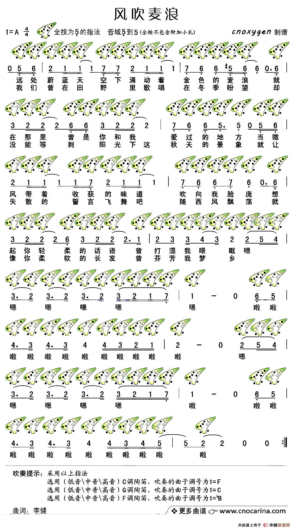 陶笛简谱12孔_陶笛简谱12孔送别(3)