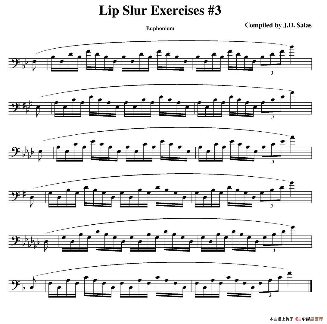 Lip Slur Exercises-Euphonium(大号练习教材选曲)(1)_原文件名:图片 (3).jpg