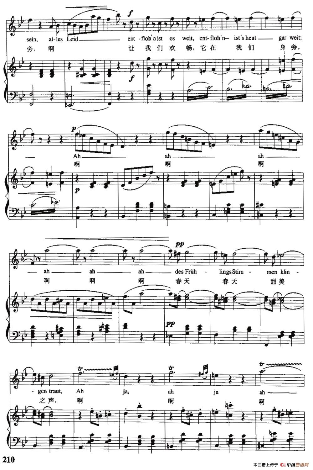 [奥]春之声圆舞曲（中外文对照、正谱）