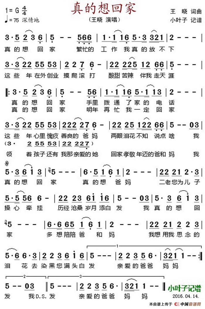 真的想回家 (1)_原文件名:真的想回家 王晓词曲 王晓演唱.jpg