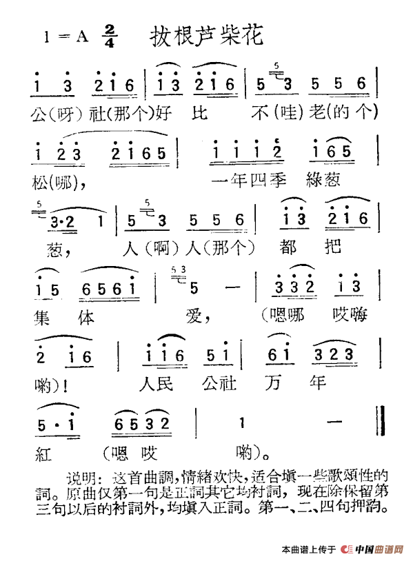 苏北小调:拔根芦柴花(1)_原文件名:苏北小调:拔根芦柴花.png
