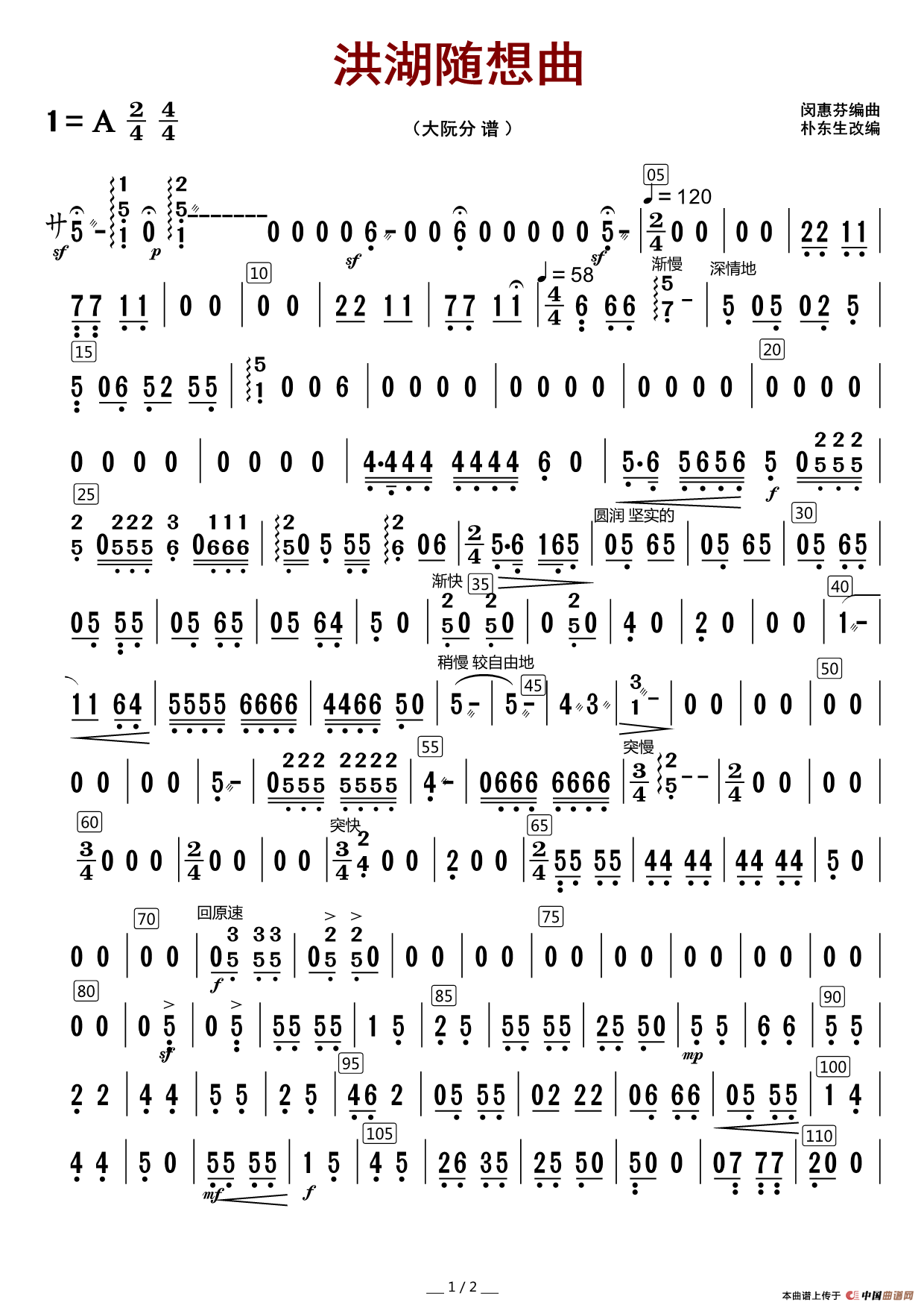 洪湖随想曲(大阮分谱)