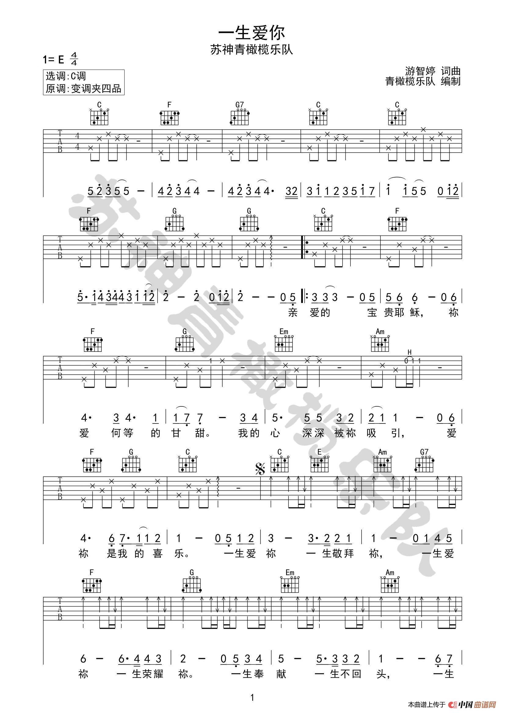 一生爱你(苏神青橄榄乐队编制)(1)_原文件名:《一生爱你》原曲弹唱谱.jpg