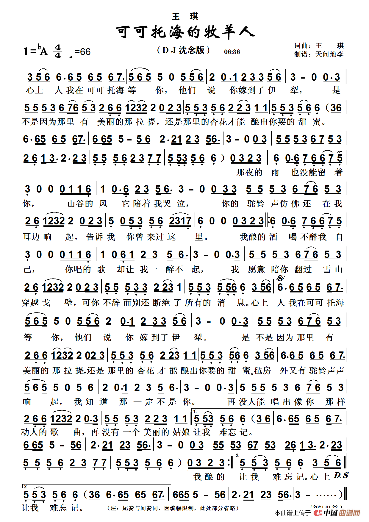 可可托海的牧羊人（DJ沈念版）