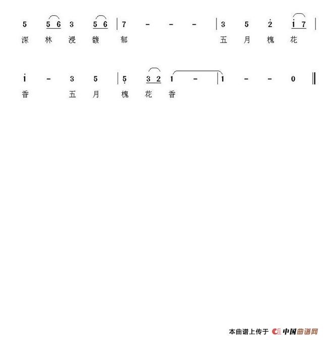 五月槐花香(杨福俊 词曲)(1)_原文件名:wy3.jpg