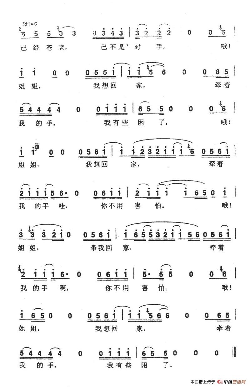 姐姐（张楚词曲）