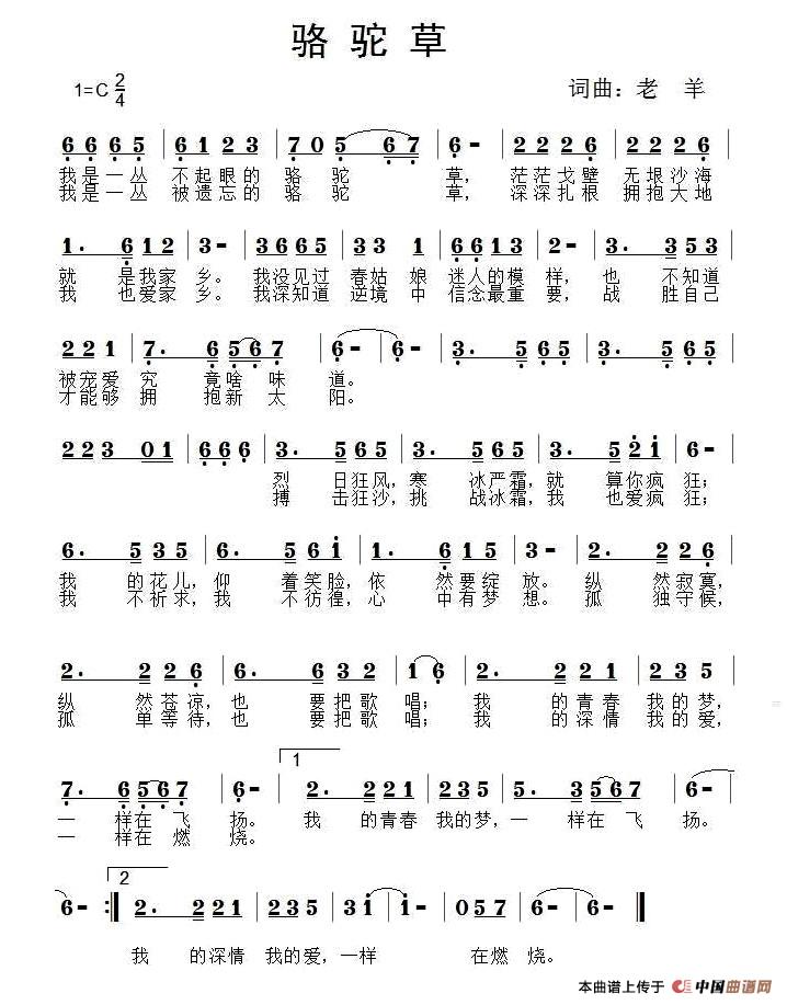 骆驼草(老羊 词曲)(1)_原文件名:1.jpg