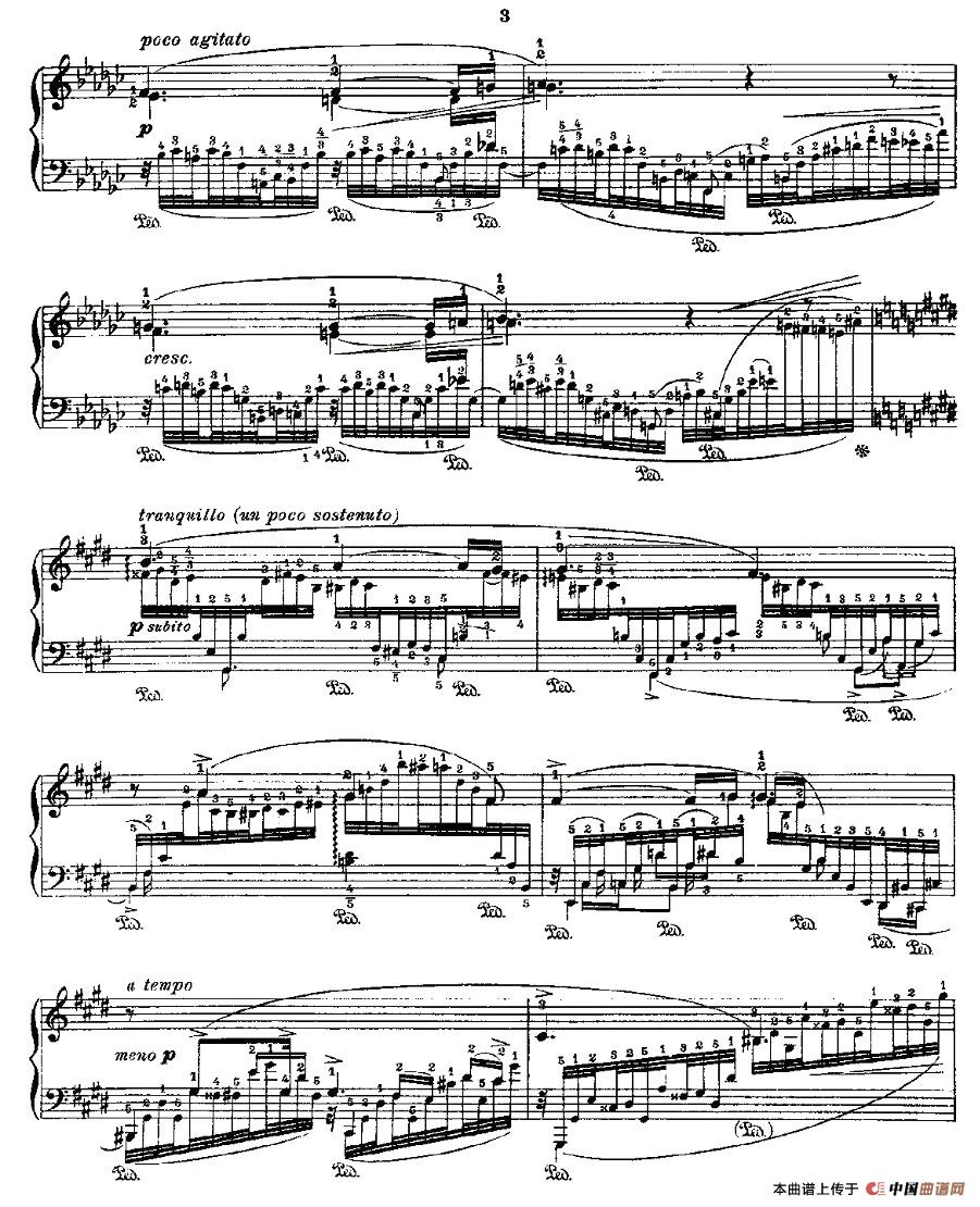 肖邦《练习曲》Fr.Chopin Op.10 No6(1)_原文件名:戈多夫斯基改编版肖邦《练习曲》-075.jpg