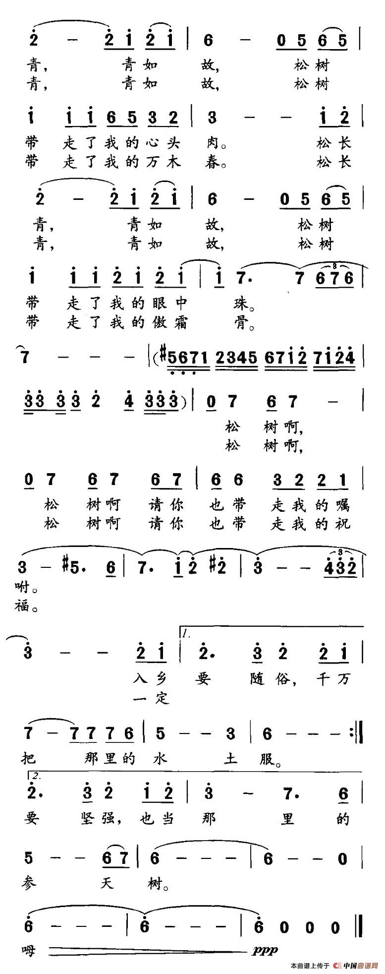 当松树离开了松树谷