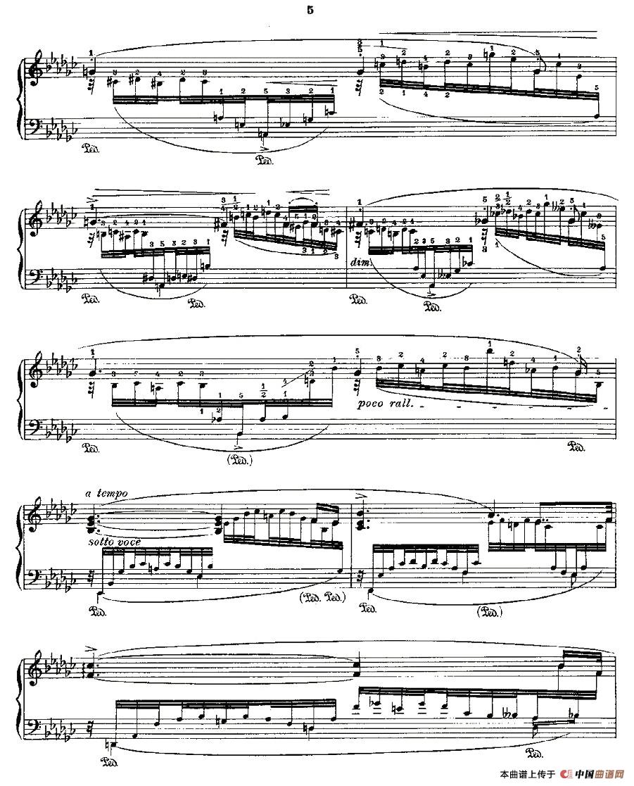 肖邦《练习曲》Fr.Chopin Op.10 No6(1)_原文件名:戈多夫斯基改编版肖邦《练习曲》-077.jpg