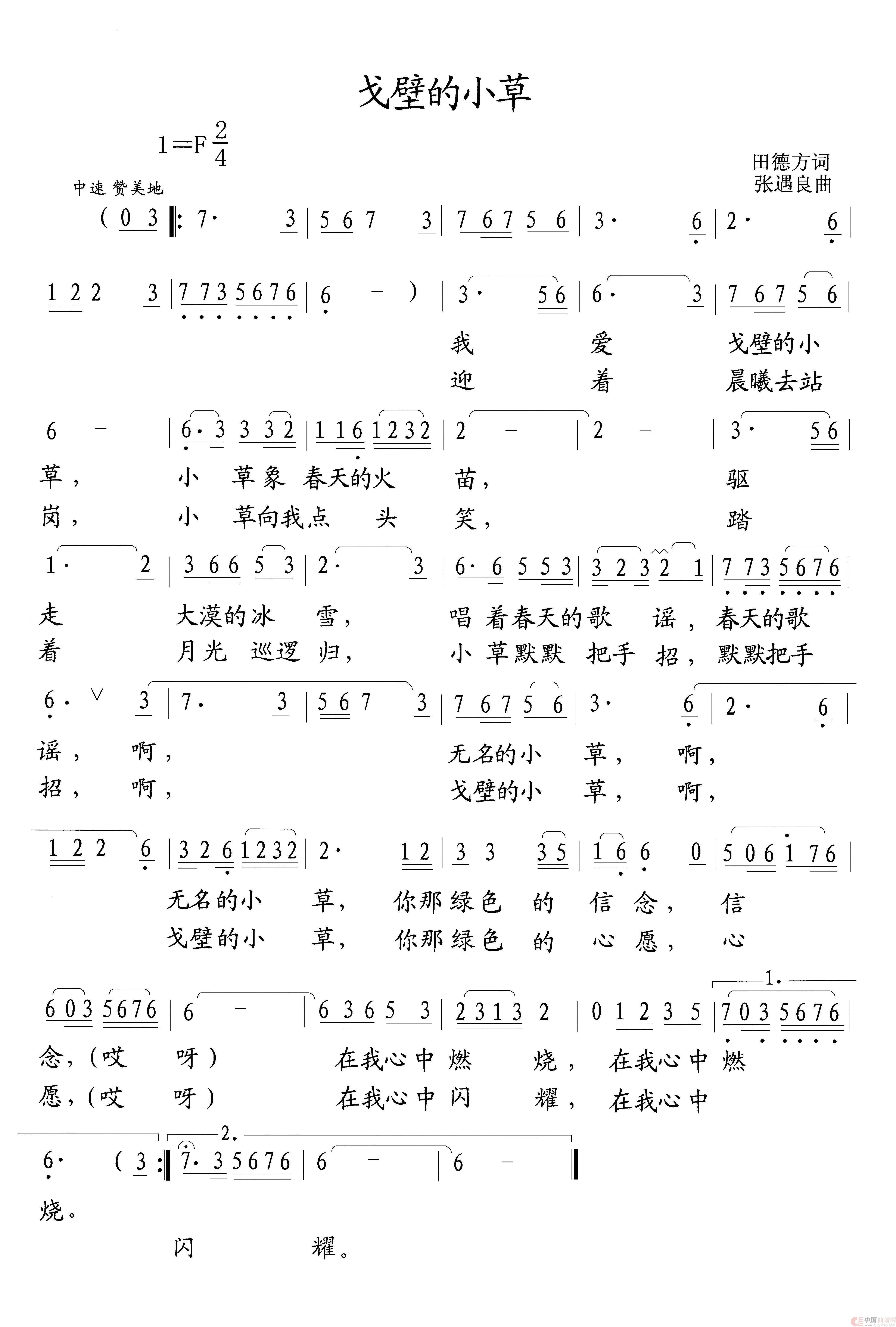 戈壁的小草(1)_原文件名:戈壁的小草.jpg